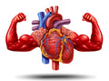 The Complete Guide to Heart Health & Prevention